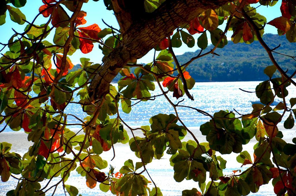 Vanila Hotel&Spa Ambaro Esterno foto